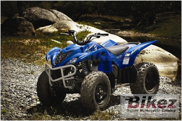 2009 Yamaha Wolverine 450 Auto 4x4 photo
